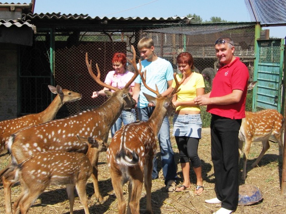 Семья туристов в гостях у семьи оленей