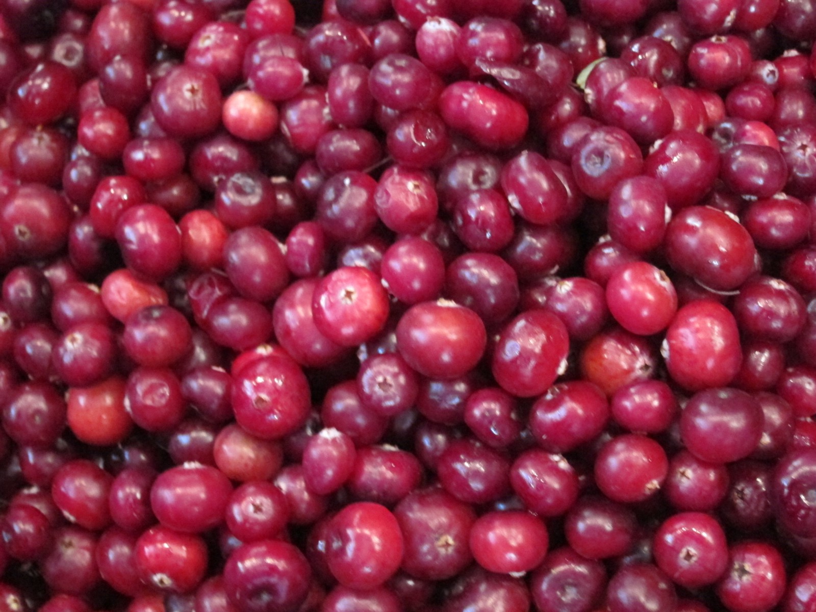 Клюква - главное действующее лицо фестиваля