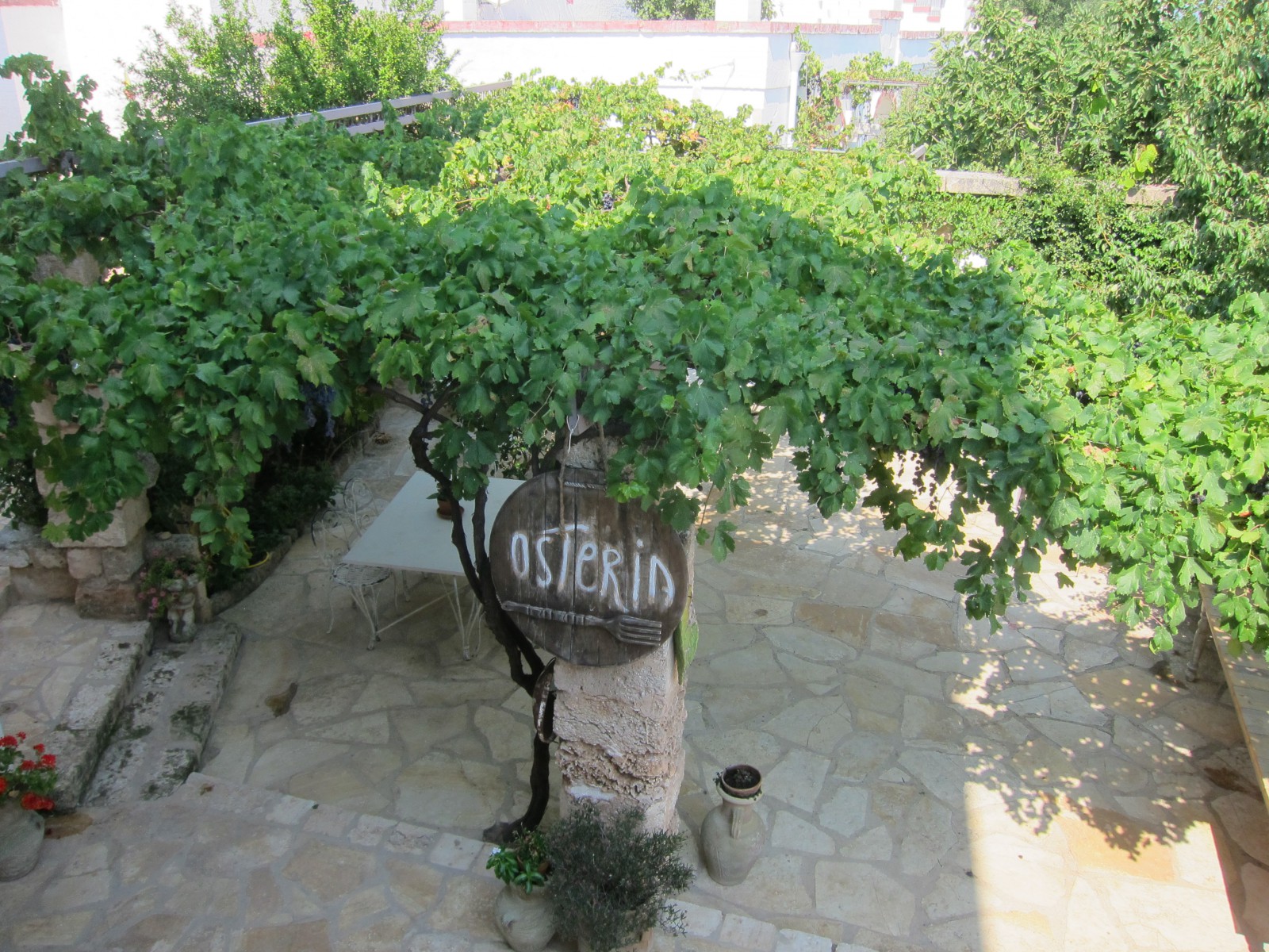 Остерия в тени под виноградом, фото Алексеев Олег
