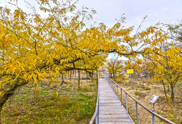 © Татьяна Яковлева