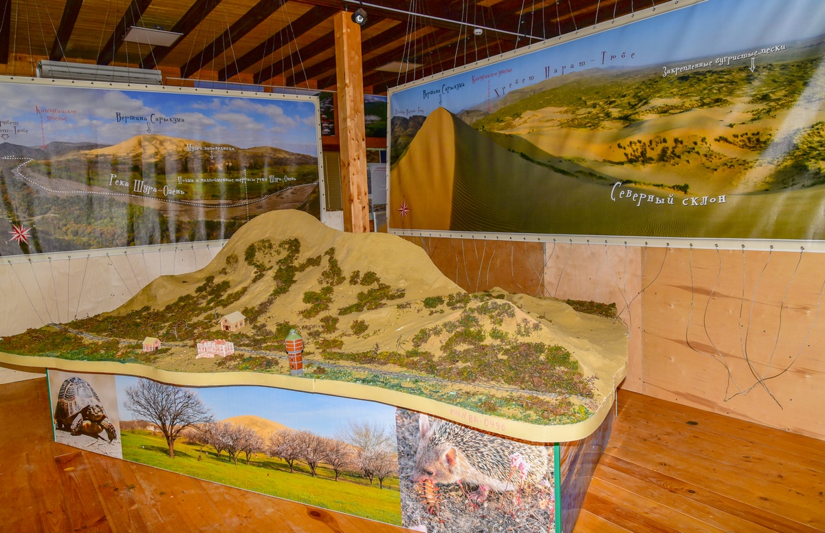 © Татьяна Яковлева