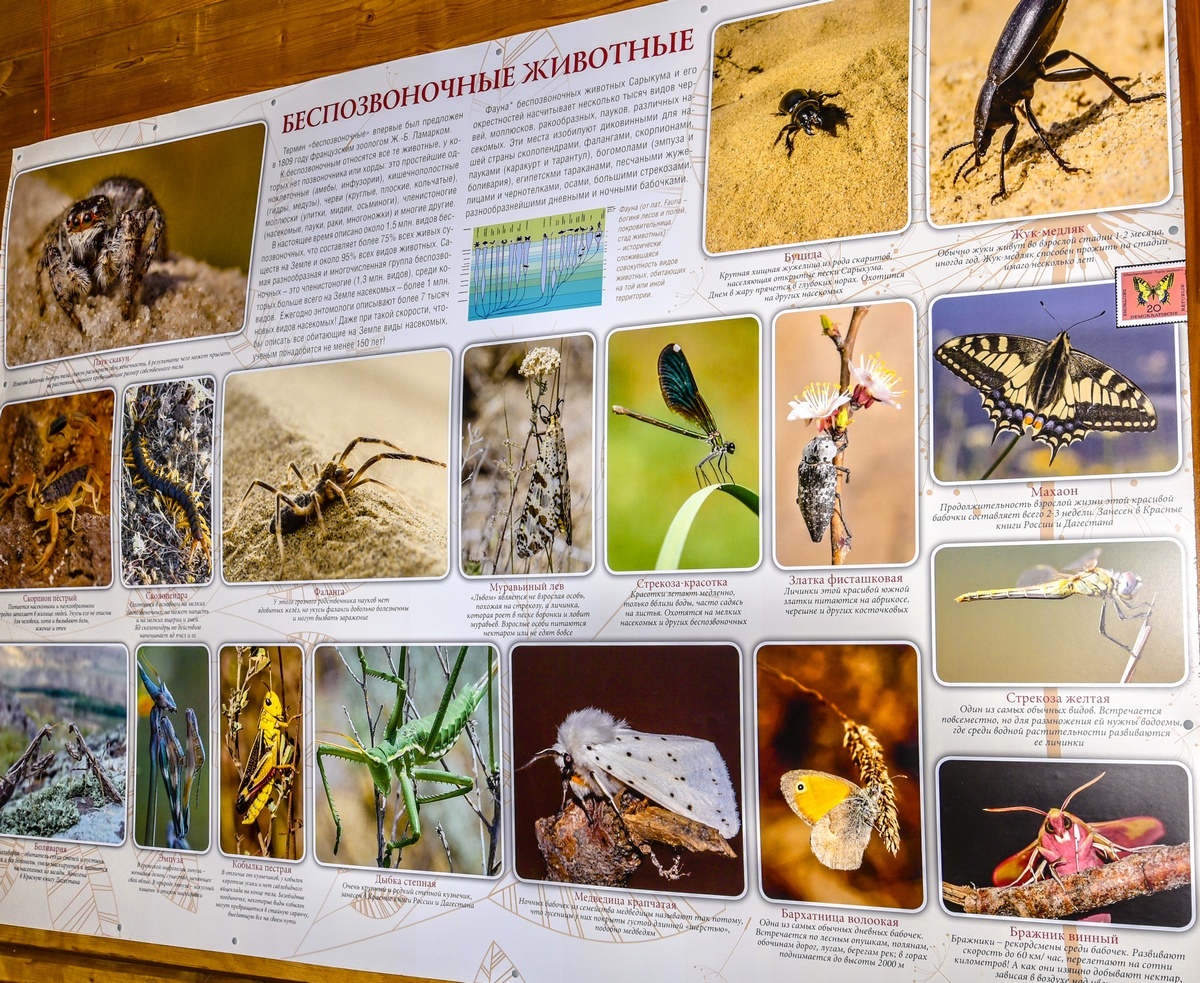 © Татьяна Яковлева