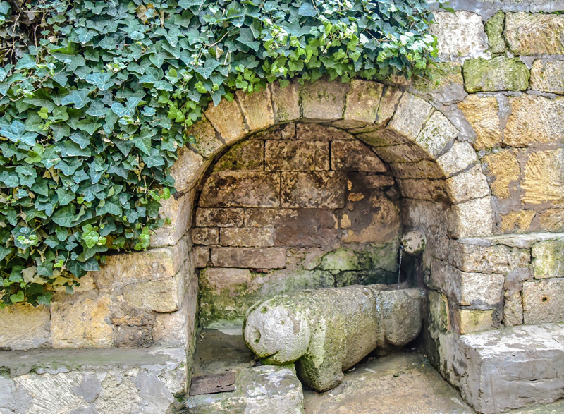 Родник. © Татьяна Яковлева