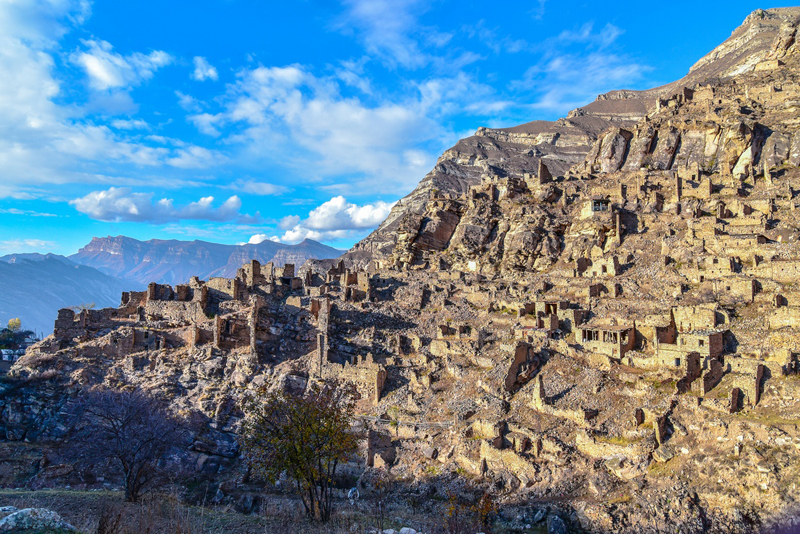 фото Татьяна Яковлева