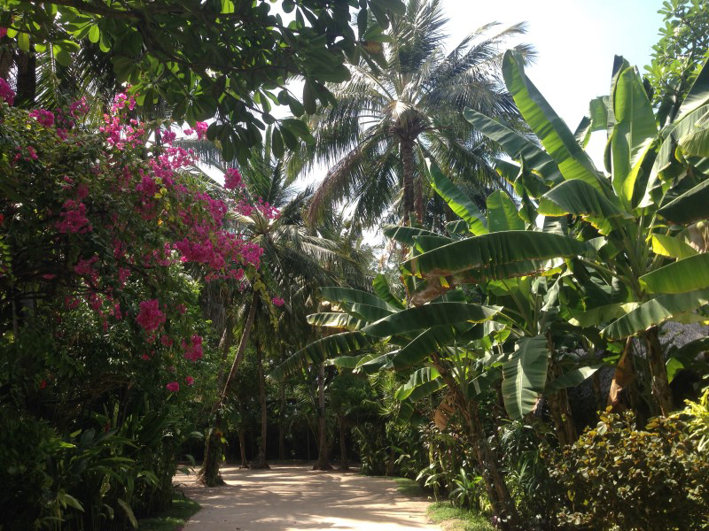 Kuramathi Island очень зеленый остров