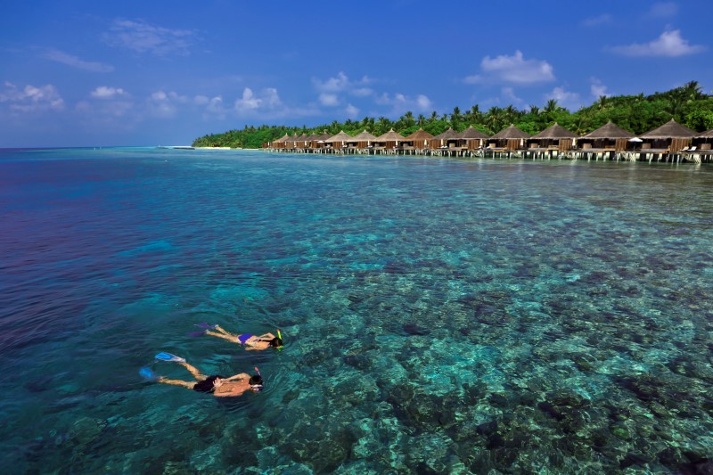 Подводный мир Kuramathi Island Resort