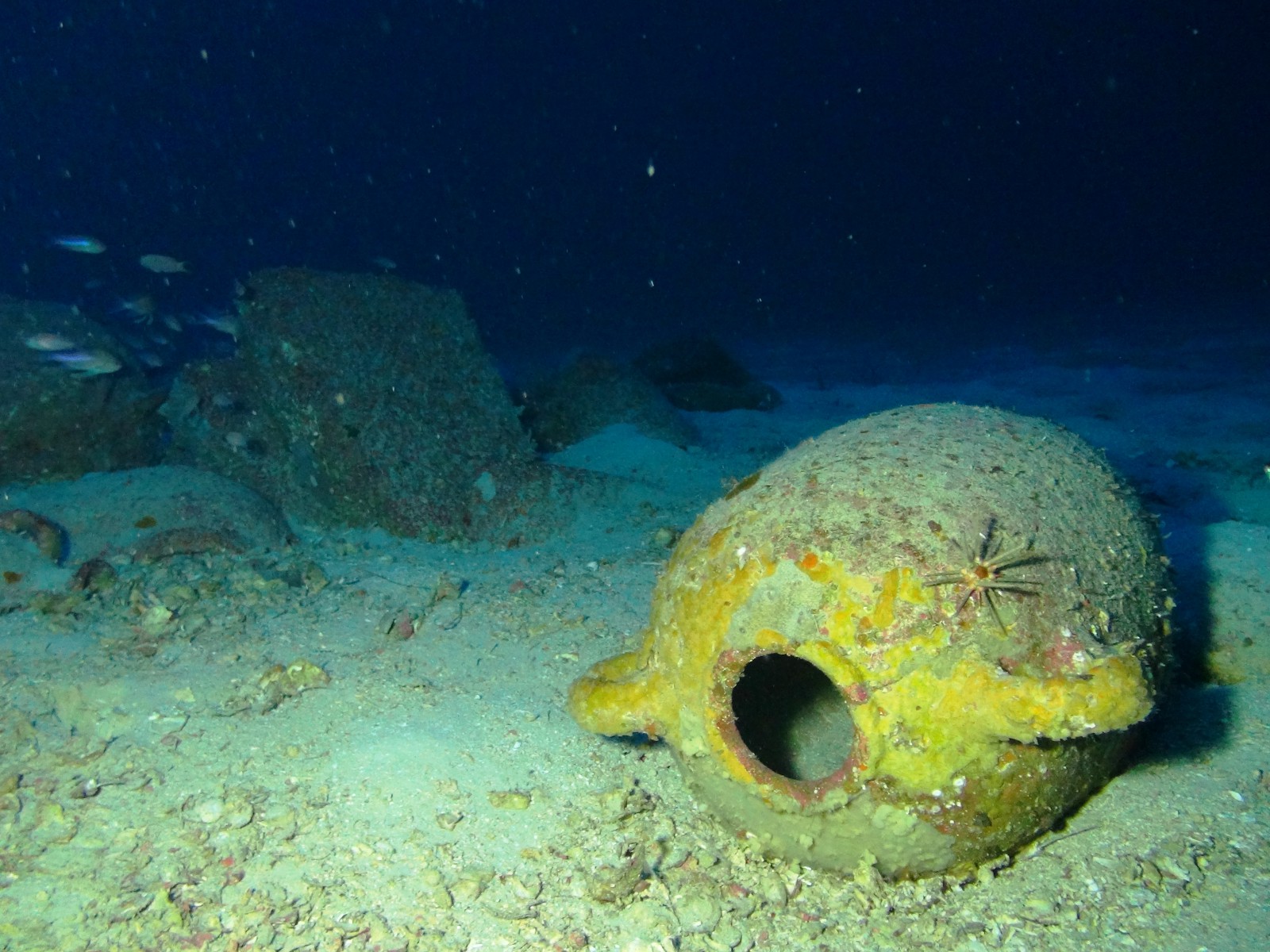 Мальтийская находка - один из предметов в затонувшего корабля