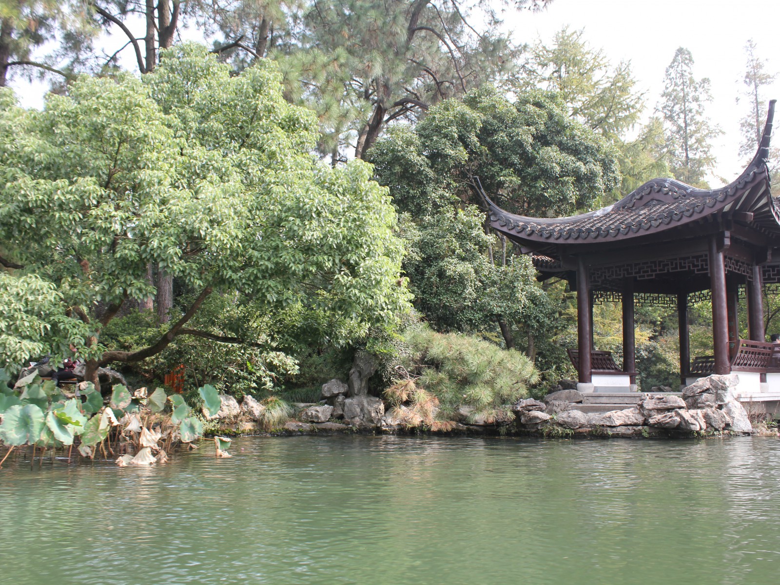  Алла Касаткина