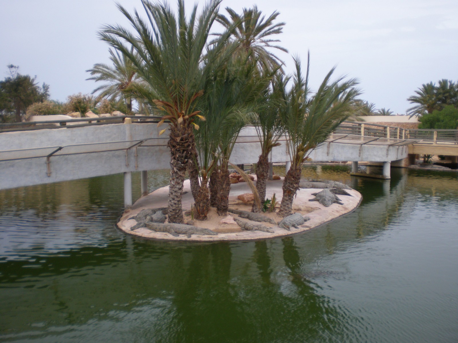 Крокодиловая ферма на Джербе