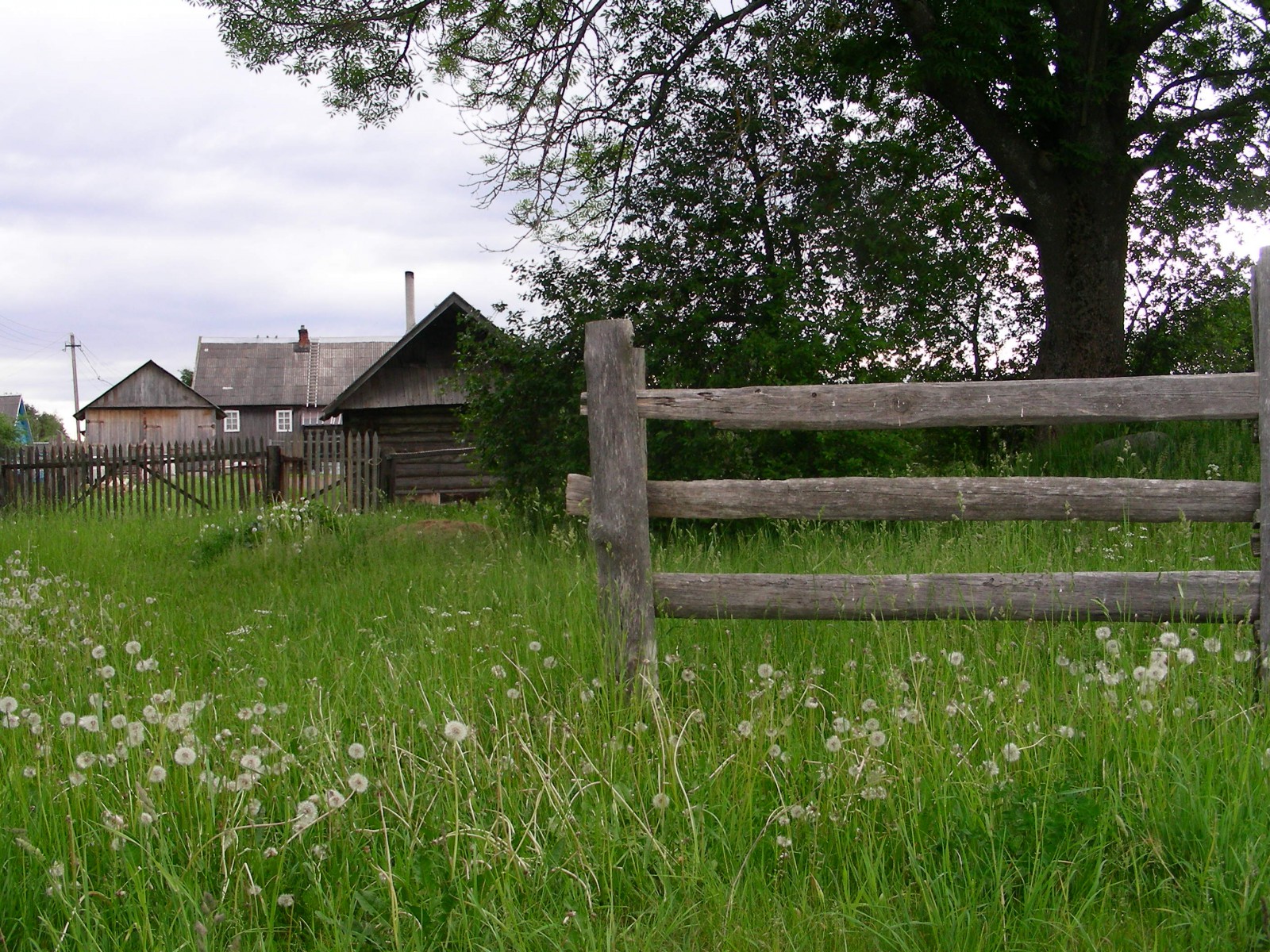 Татьяна Ковальчук