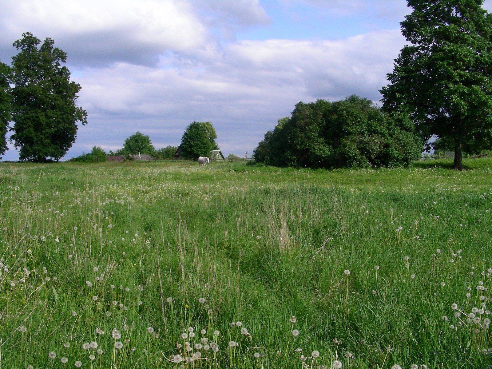 Окрестности деревни Цевло, © Татьяна Ковальчук
