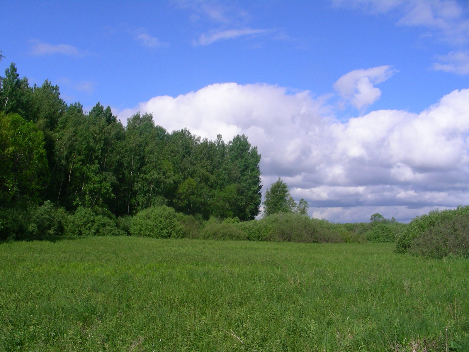 Отсюда начинается водный маршрут «От болот до океана», © Татьяна Ковальчук