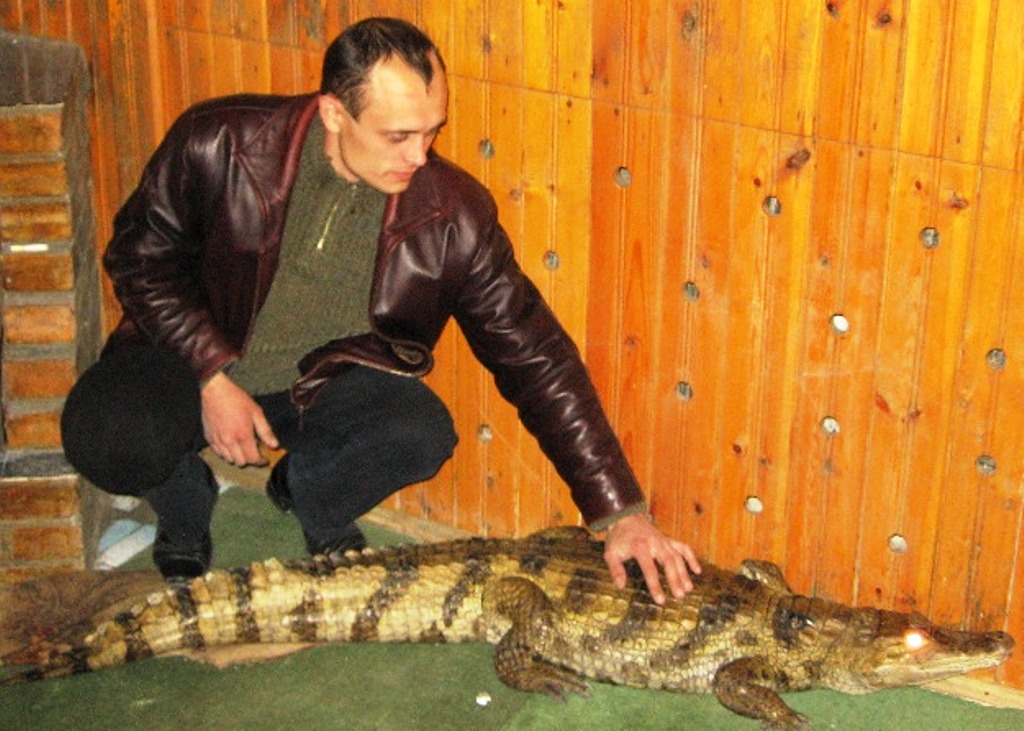 Крокодилу тоже ласка нужна