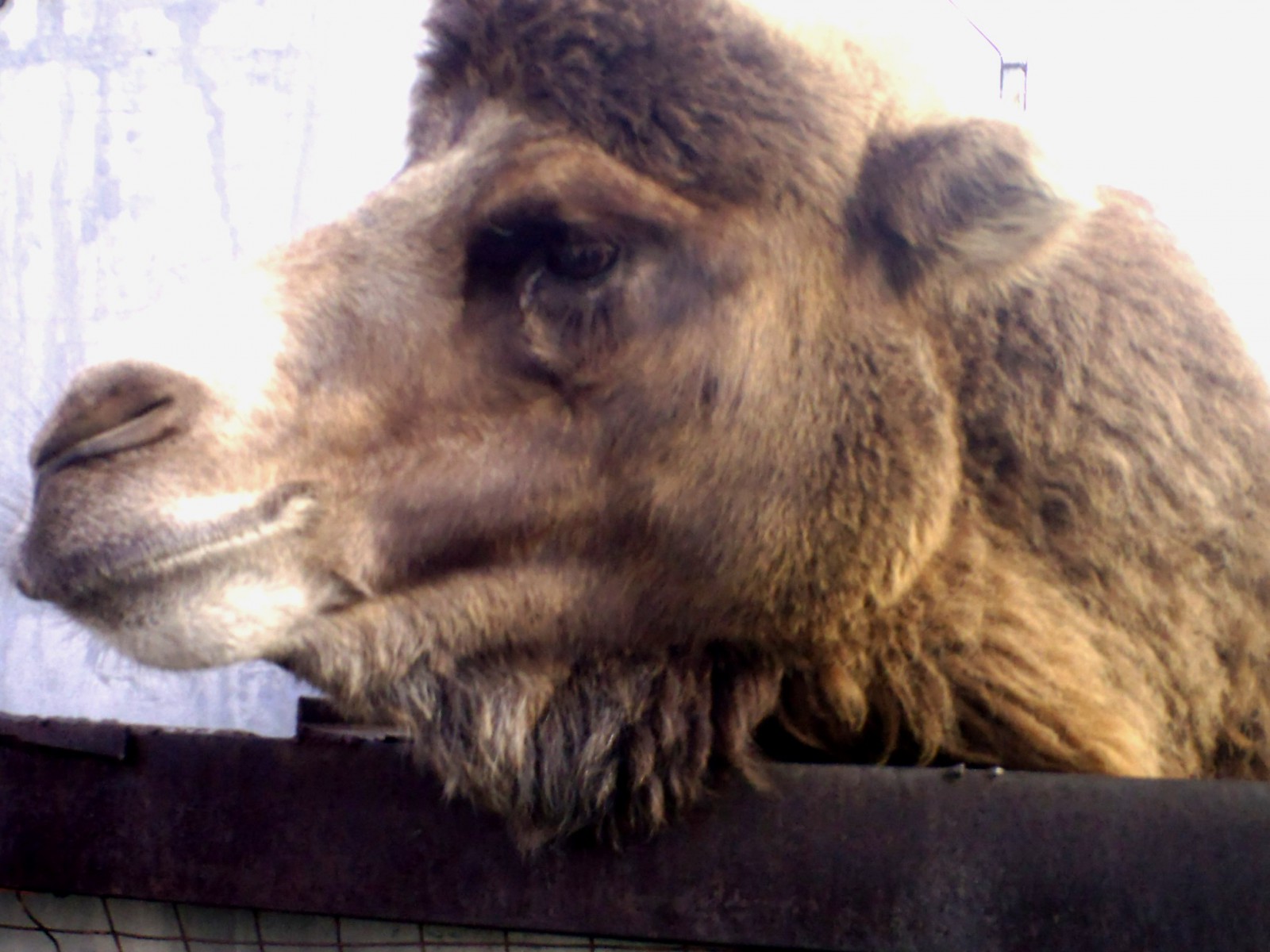 Погода здесь теплая - почти как дома