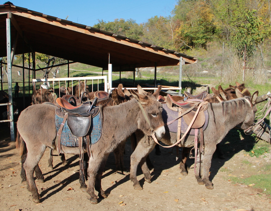 Ослик Иа и другие