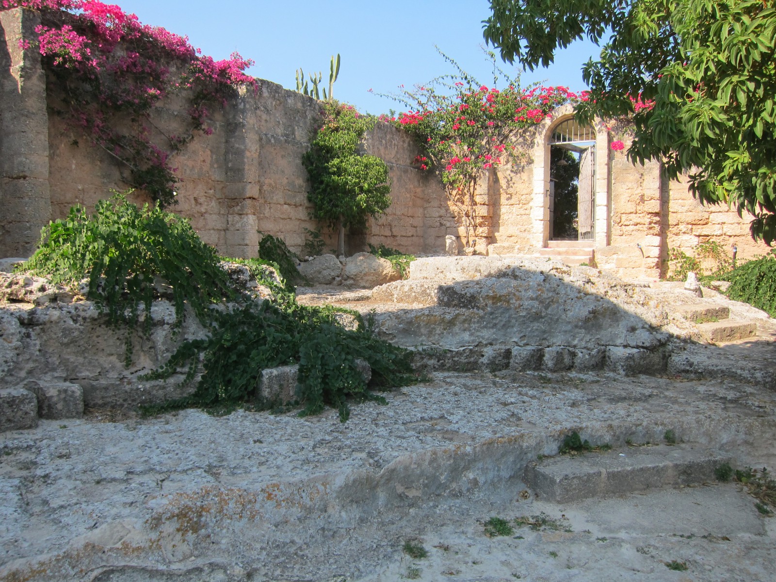  Алексеев Олег