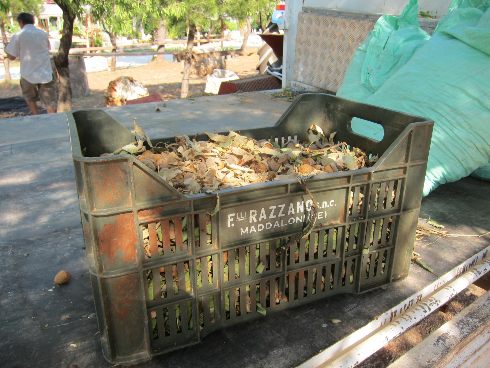  Алексеев Олег