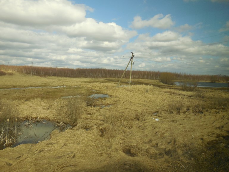 За окнами нашего автобуса весенние пейзажи