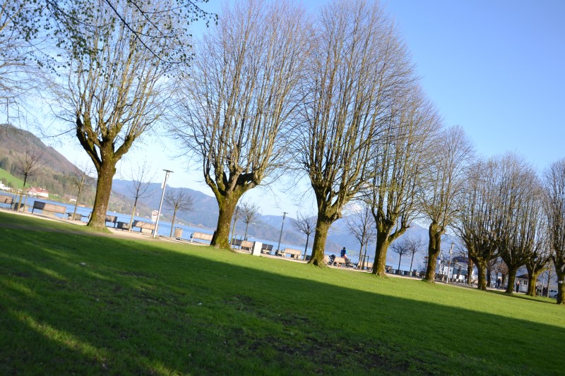 Регион Зальцкаммергут, © Александра Полянская