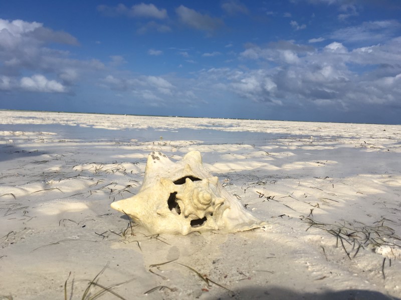 © Александра Полянская