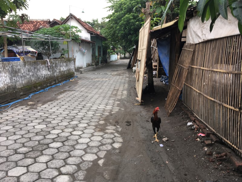 Практически каждый ведет свое хозяйство, © А.Полянская