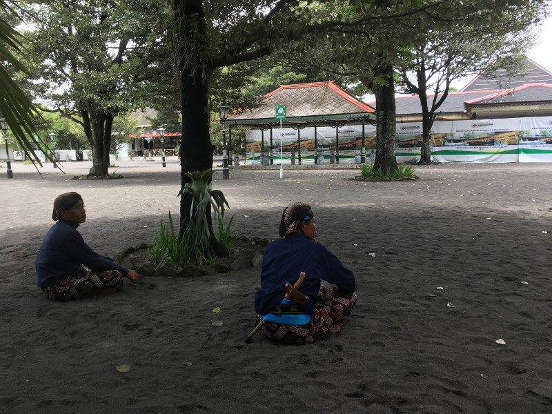 Умиротворенная охрана Дворца, © А.Полянская