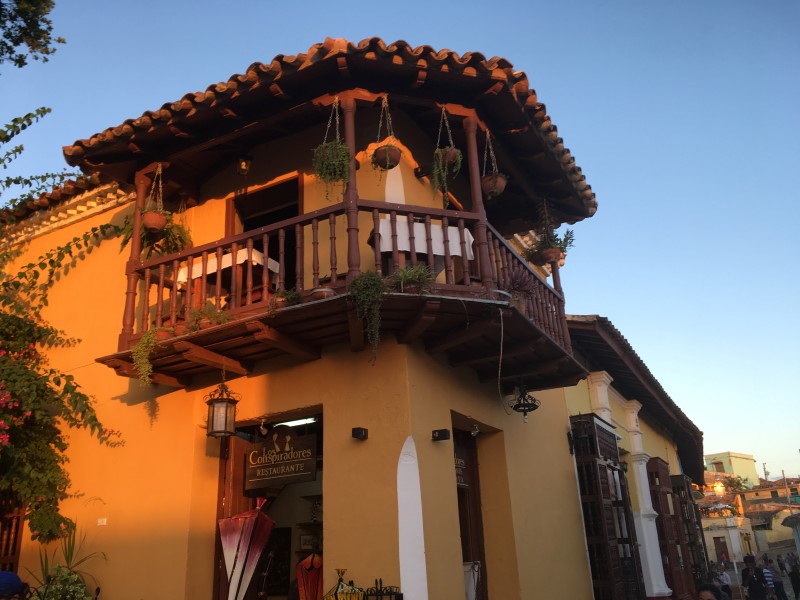 © Александра Полянская