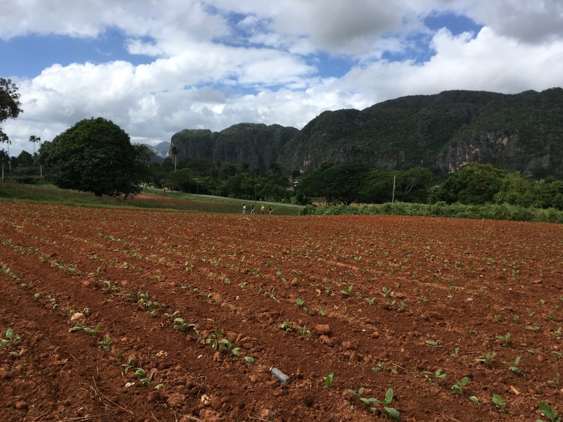 © Александра Полянская