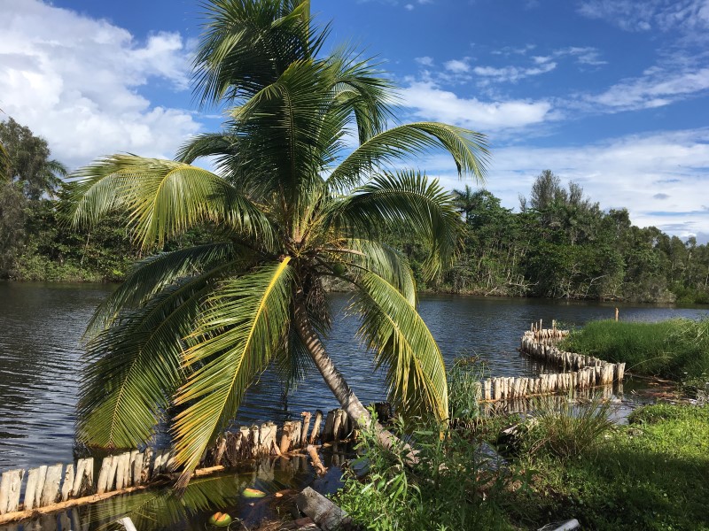 © Александра Полянская