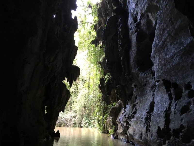 © Александра Полянская