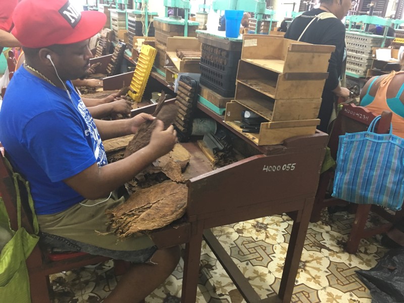 © Александра Полянская