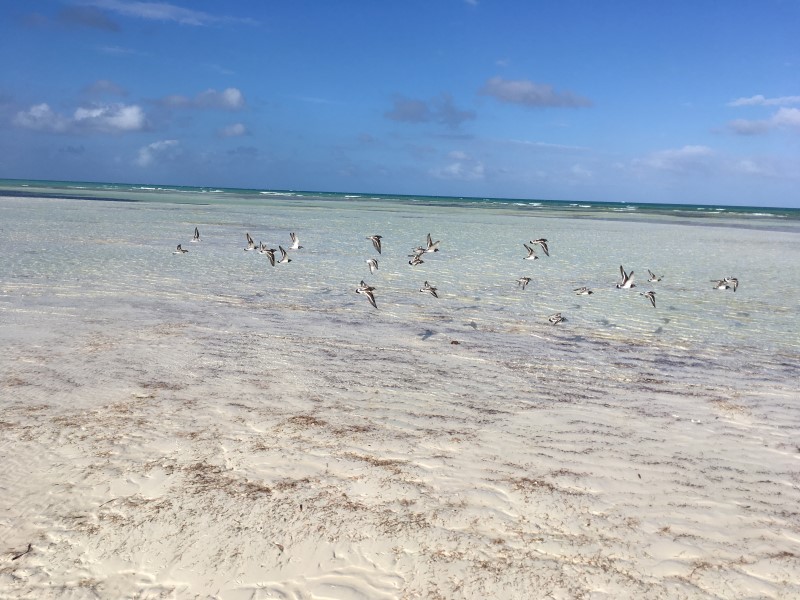 © Александра Полянская