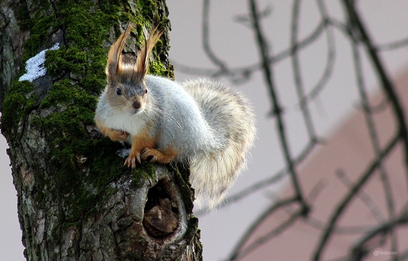 Ессентуки, © Е.Веденьев