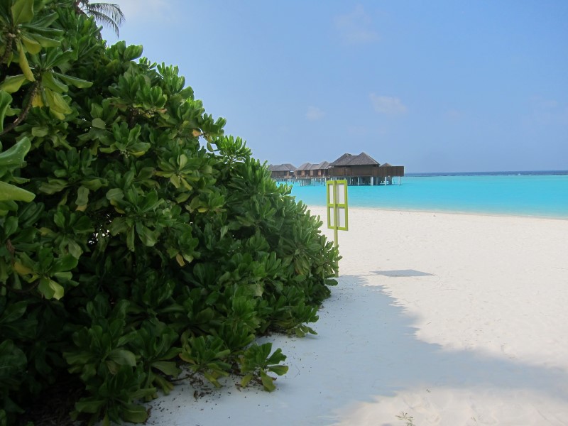 Выход на пляж, © О.Алексеев