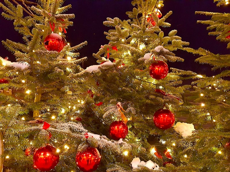 © Нестерова М.