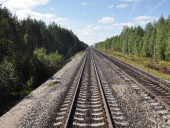 Сквозь леса