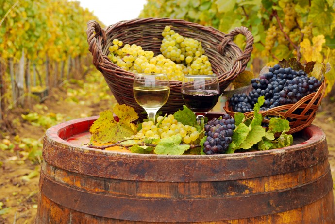 Винные туры в Грузию