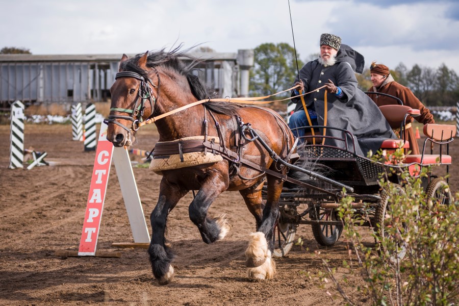 Русская тройка. Богдарня