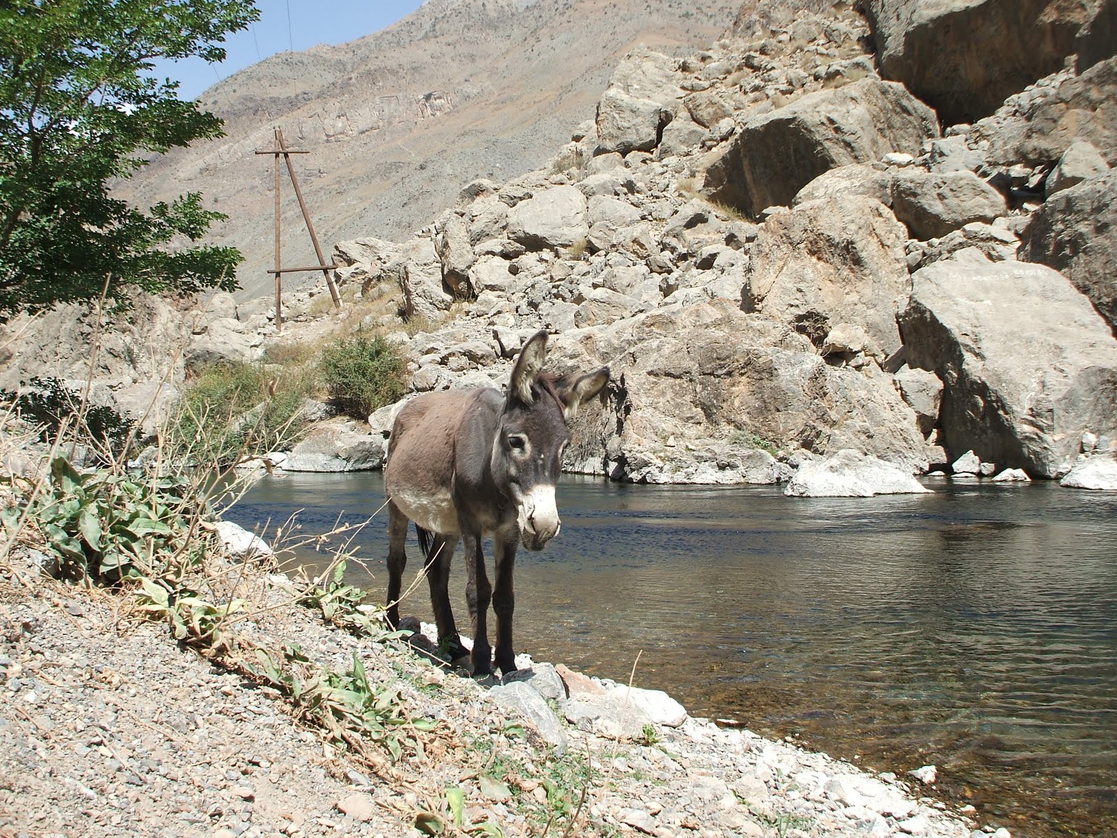 На берегу Зеравшана в Таджикистане, © Голубцов А.