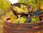 Винные туры в Грузию