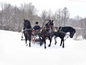 Русская тройка. Богдарня